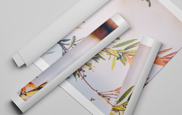Download Rolled Canvas Mockup - Mockup Collection
